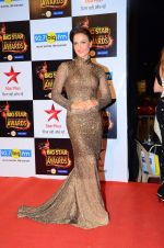Elli Avram at Big Star Awards in Mumbai on 13th Dec 2015